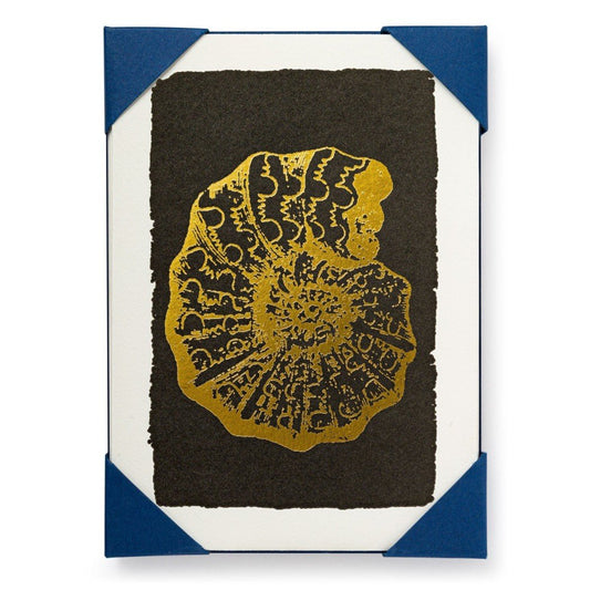 Ammonite - Note cards & Envelopes