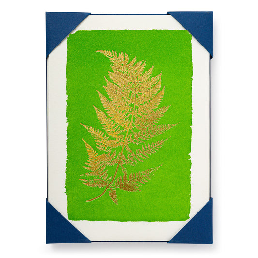 Note cards and Envelopes - Fern