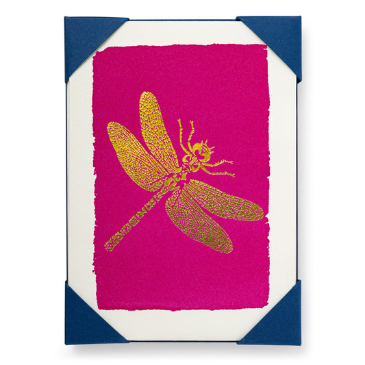 Note Cards and Envelopes - Dragonfly