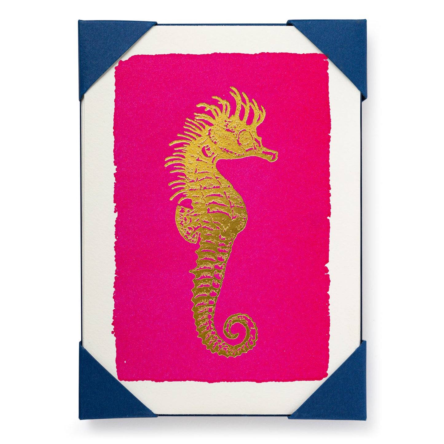 Note Cards and Envelopes - Seahorse